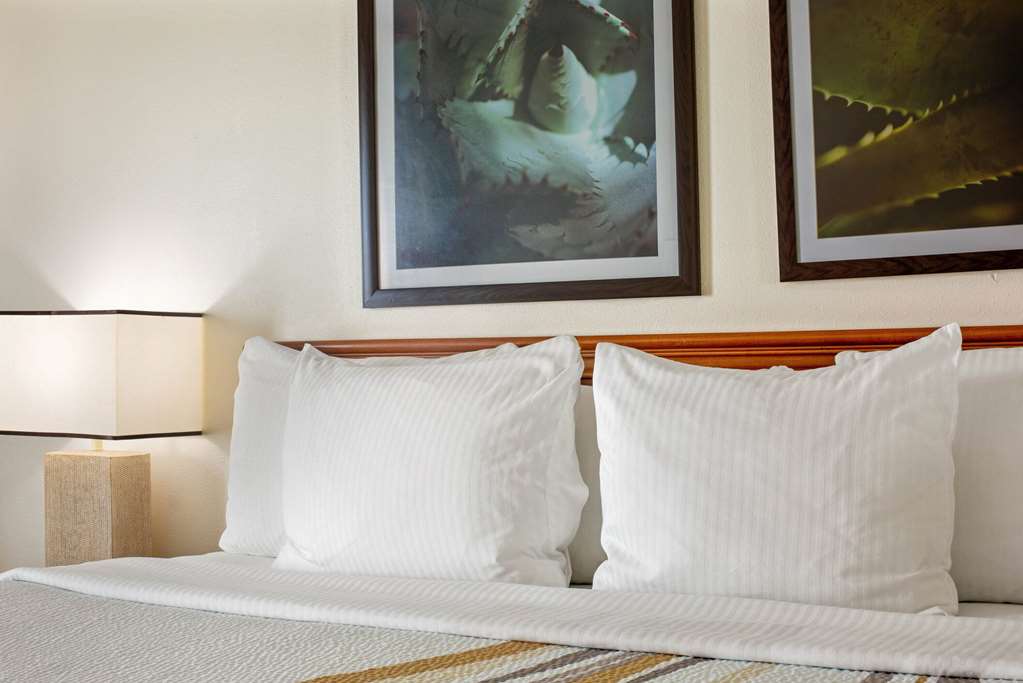 La Quinta Inn & Suites by Wyndham Sawgrass - photo 17