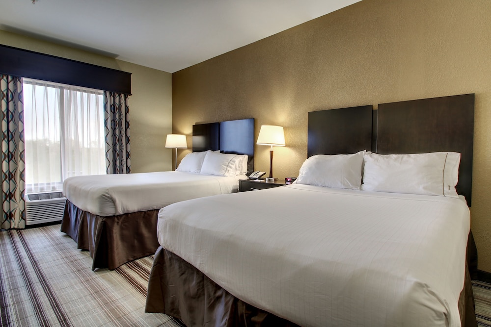 Holiday Inn Express Hotel & Suites Natchez South by IHG - photo 18