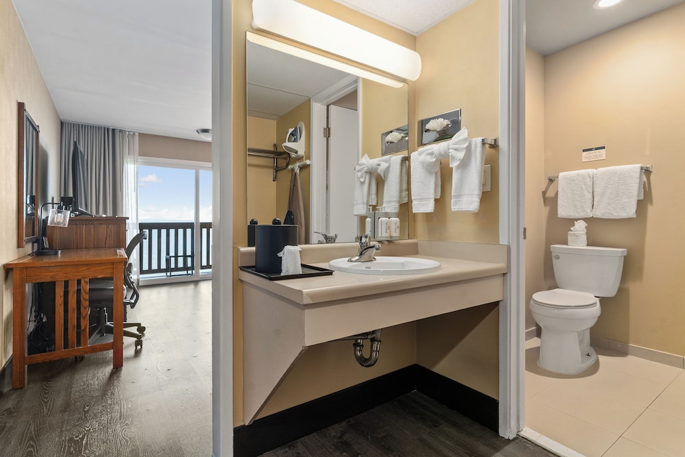 Vagabond Inn Executive San Francisco Airport - photo 33