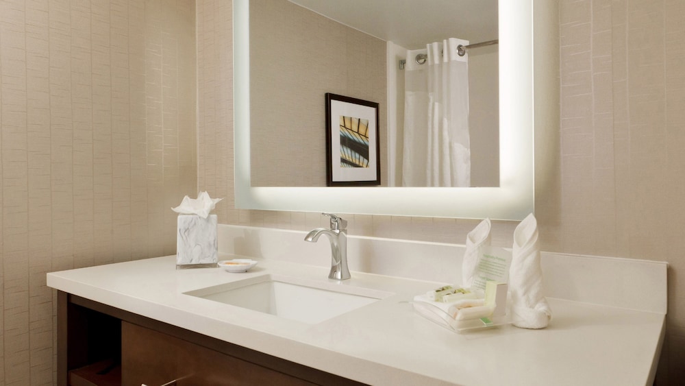 Holiday Inn San Antonio Riverwalk by IHG - photo 10