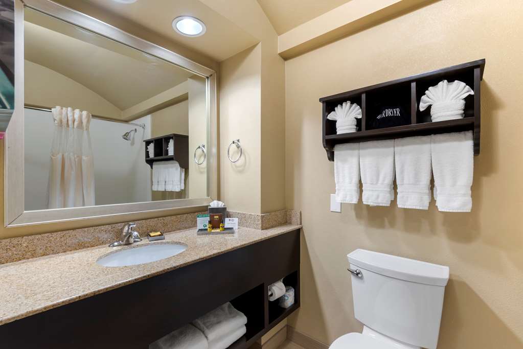 Best Western Plus Arlington North Hotel & Suites - photo 26