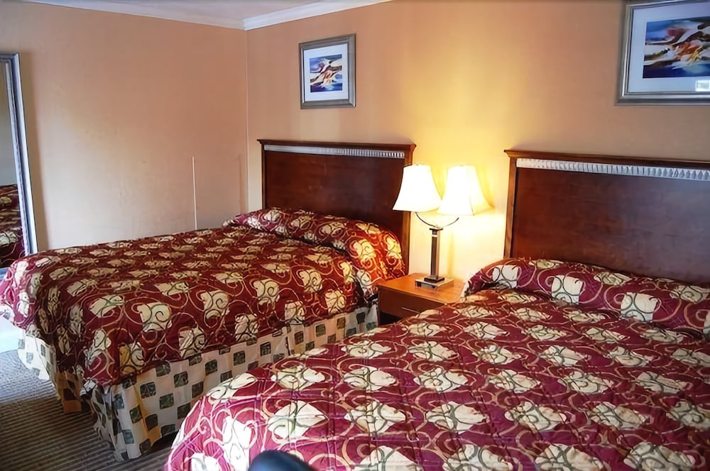 Towne Motel Alexandria - photo 11