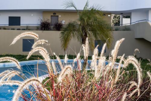 Family apartments Albur Village II — 4-Star Luxury Hotel in Alvor, Portugal