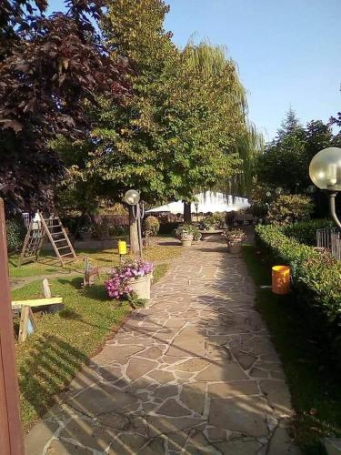 L agrifoglio in Francavilla In Sinni, Italy