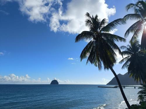 Le MaDja'Kaz studio en résidence et bord de Mer Sainte Luce Martinique — 4-Star Luxury Hotel in Sainte-Luce, Martinique