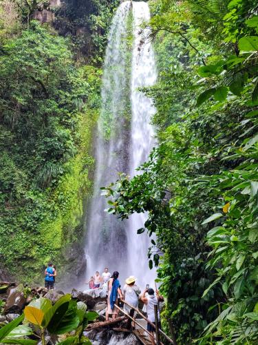 Cascada el tucan — Catemaco — photo 2