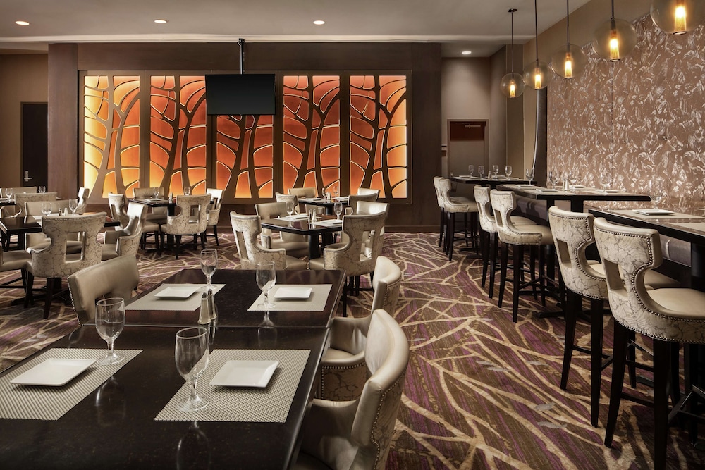 Embassy Suites by Hilton Crystal City National Airport - photo 35
