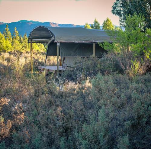 Bike Forge Glamping - last minute hotel in Unknown City