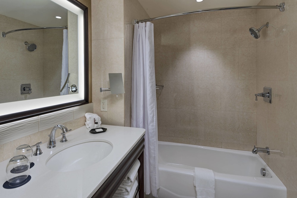 Sheraton Austin Georgetown Hotel & Conference Center - photo 20