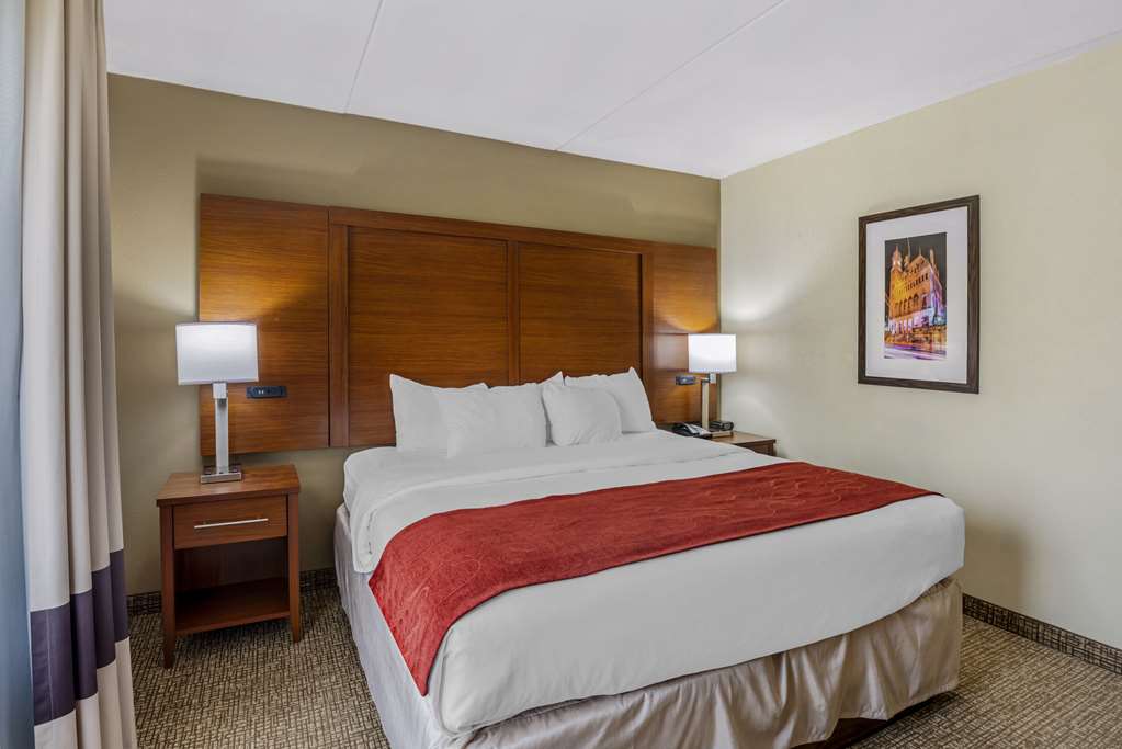 Comfort Suites At Virginia Center Commons - photo 14