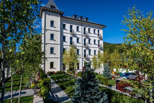 Hotel Carolin — hotel in Calimanesti