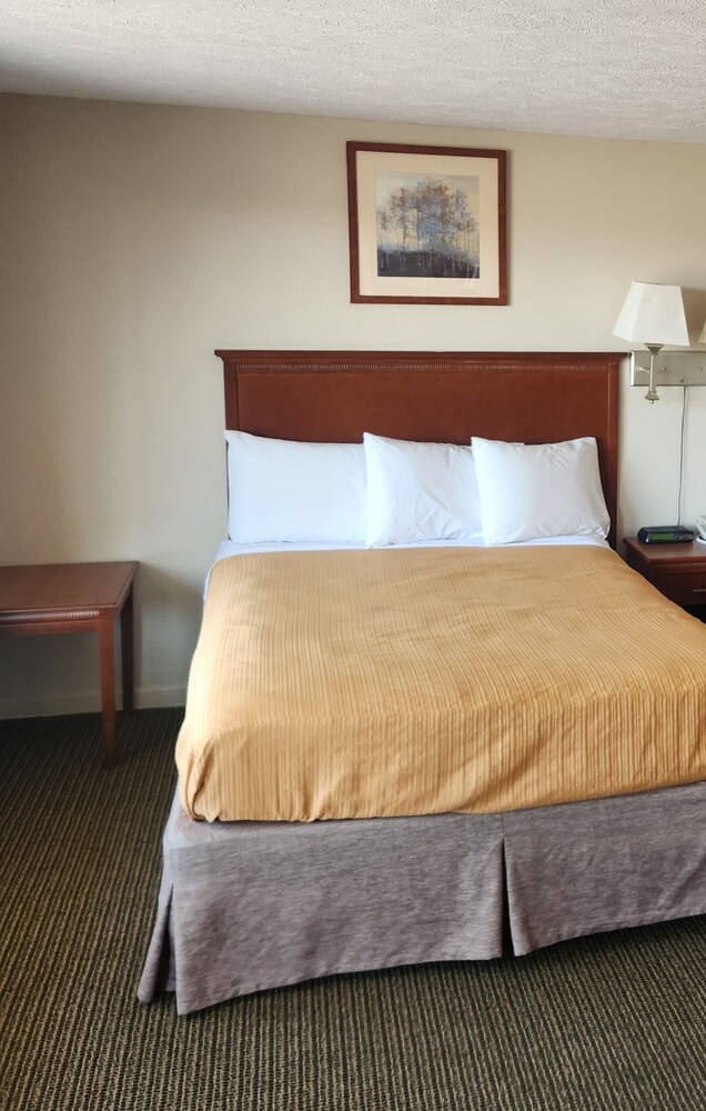 Royal Motel - photo 26