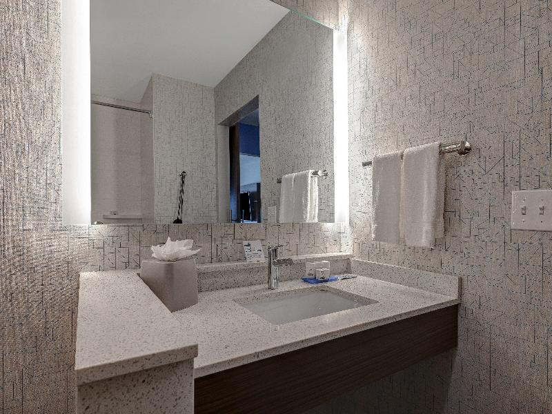 Holiday Inn Express & Suites Ann Arbor University South by IHG - photo 46