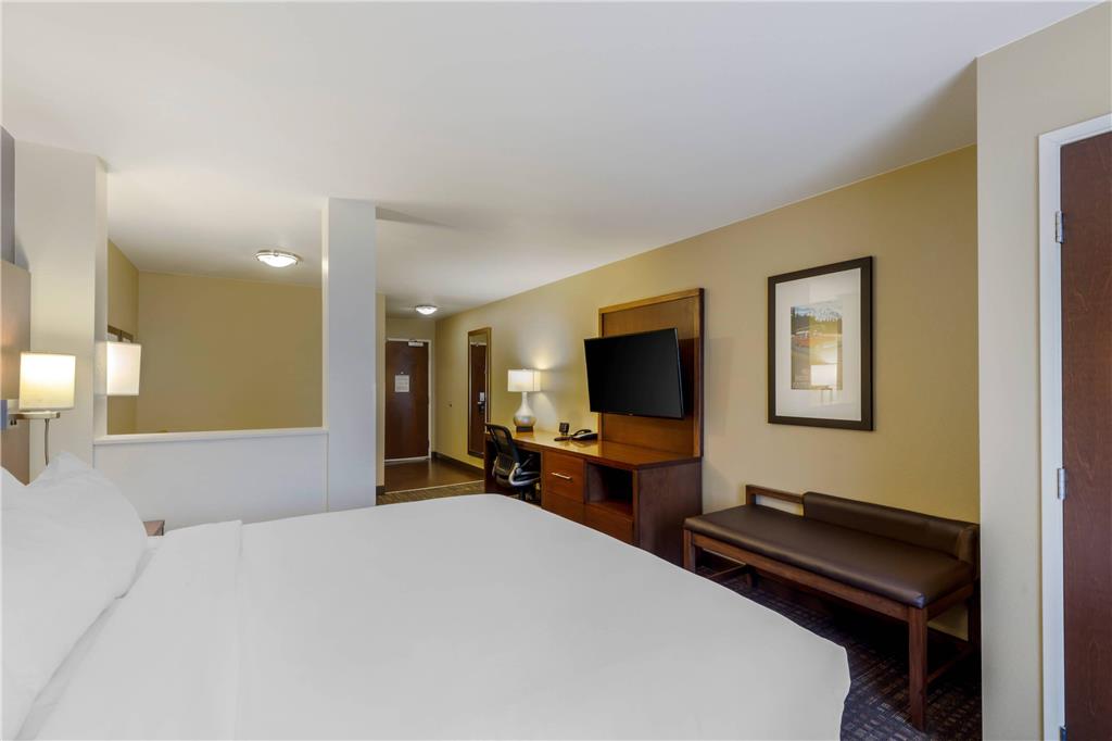 Comfort Suites Loveland - photo 24