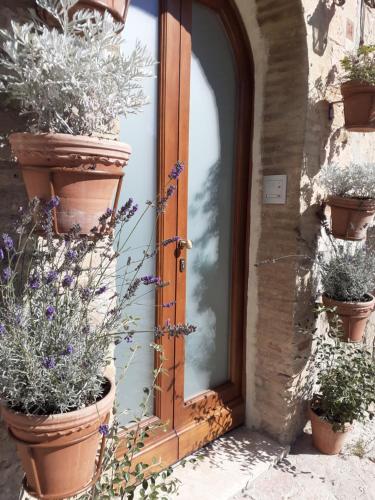 Domus San Francesco — Assisi — photo 3