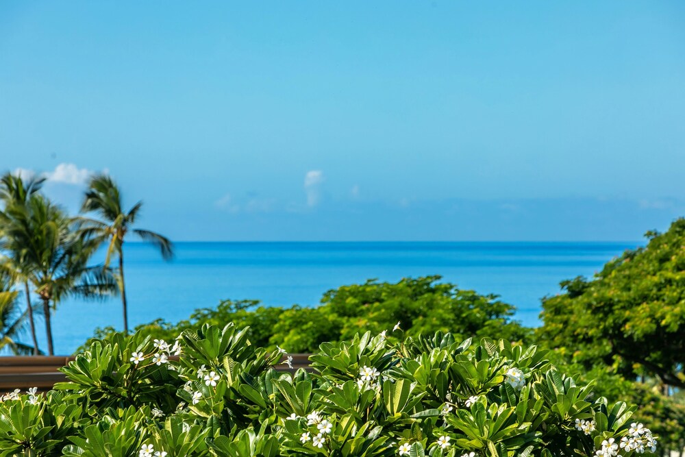 Wailea Ekolu #501 - photo 19