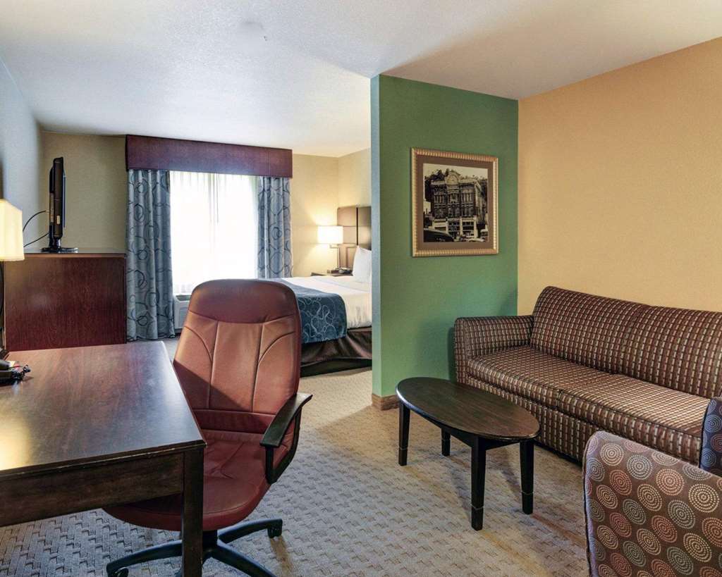 Comfort Suites near Hot Springs Park - photo 10