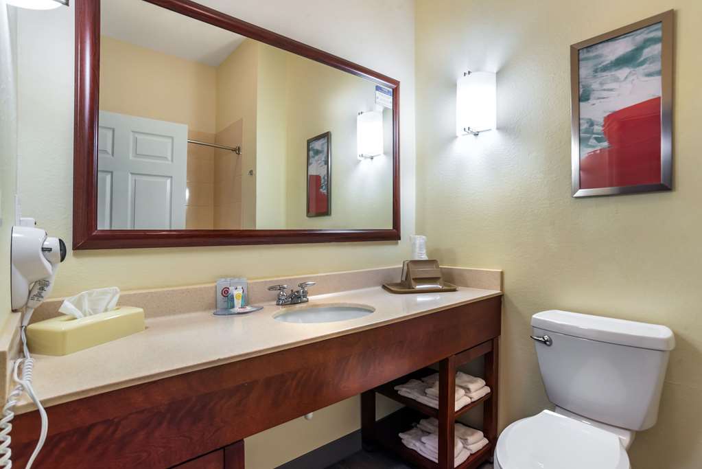 Comfort Inn & Suites Crestview South - photo 15