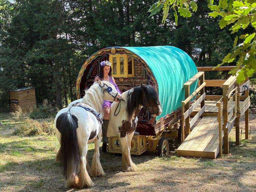 2 Guests Pet Friendly Traditional Gypsy Vardo — hotel in Longhope
