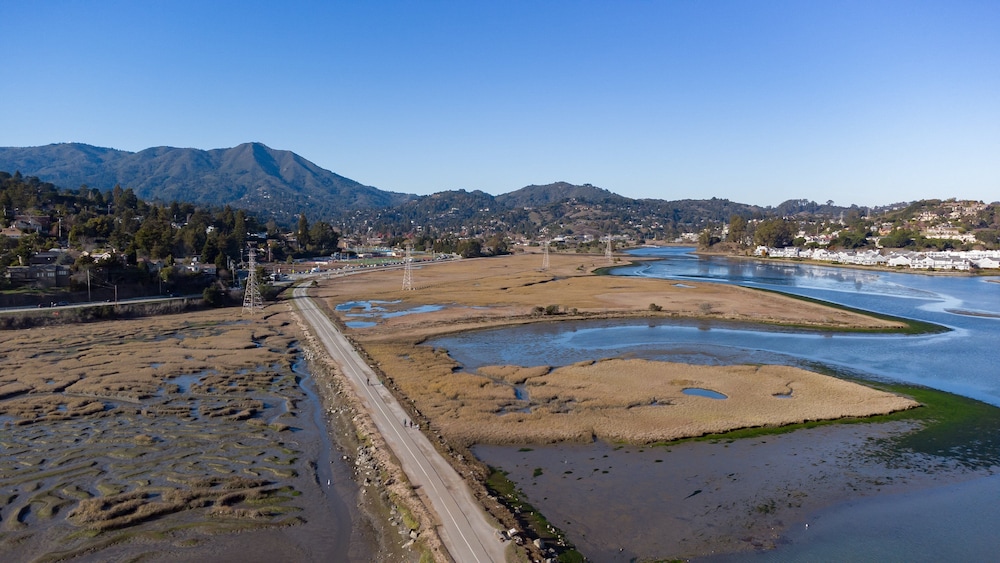 Holiday Inn Express Mill Valley San Francisco Area by IHG - photo 46