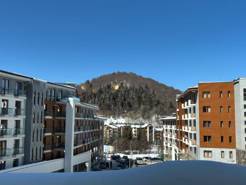 Bakuriani Orbi Palace Luxe Suite with Terrace and Breathtaking Views 462