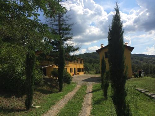Casa Ruspiano 19648341 — Vergato