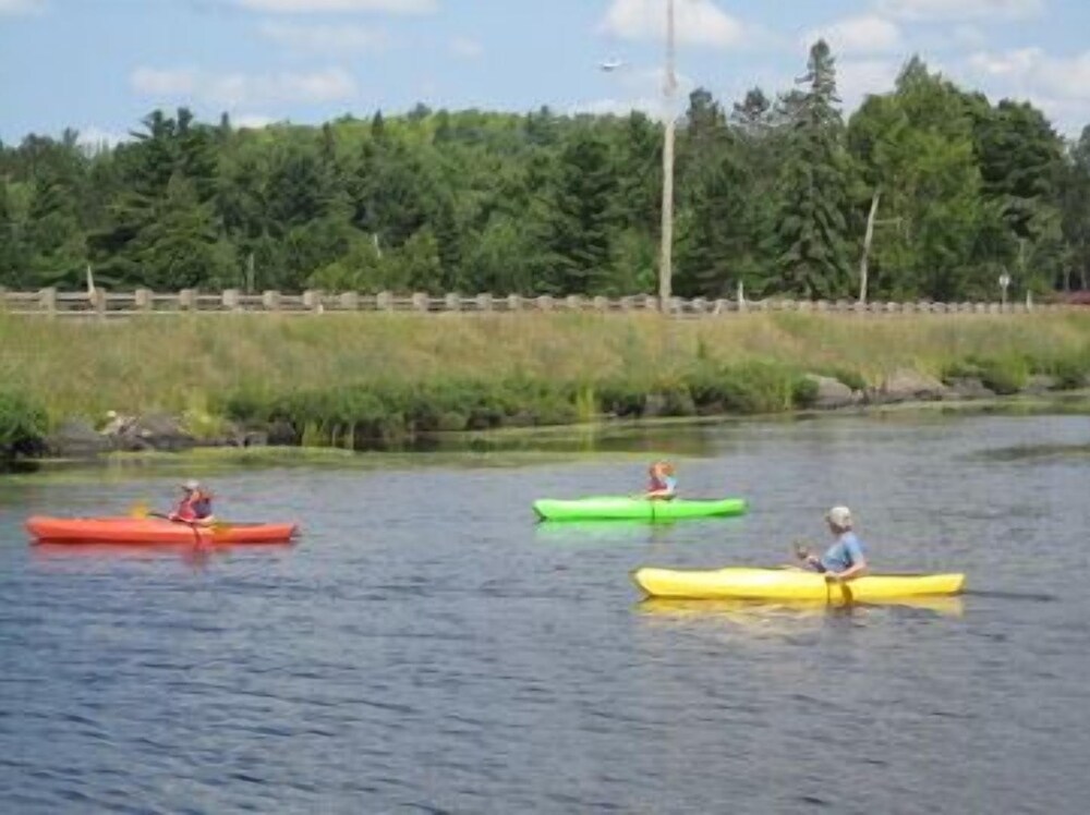 Bear Paw Inn - photo 11