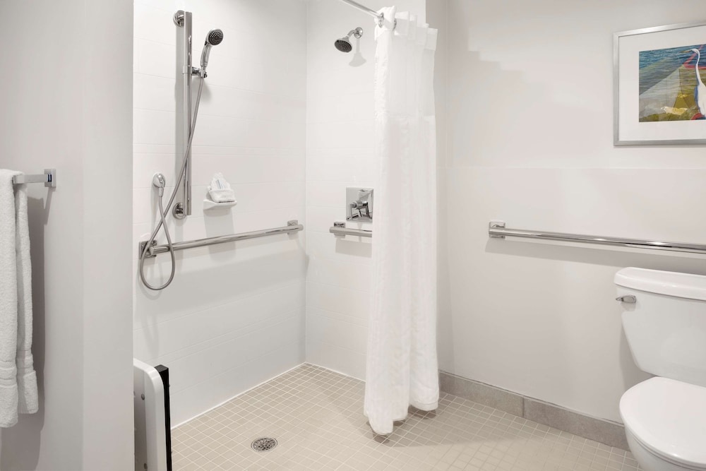Embassy Suites by Hilton Tampa Airport Westshore - photo 37