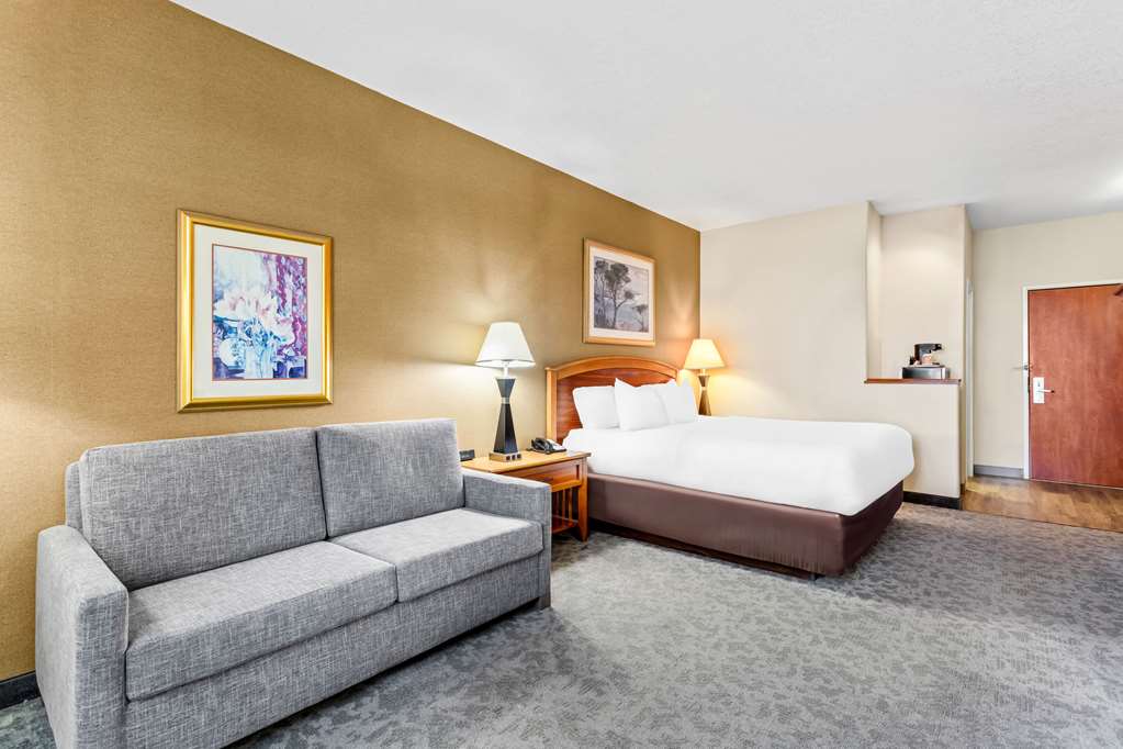 Comfort Inn & Suites I 25 near Spaceport America - photo 20