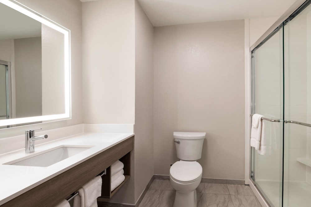 Holiday Inn Express & Suites Opelousas by IHG - photo 19