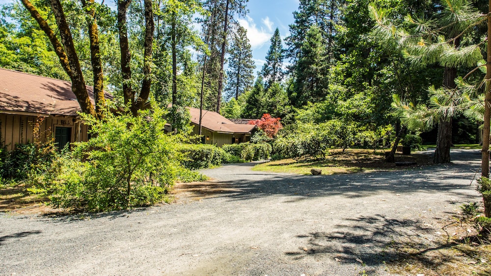 Weasku Inn - photo 80