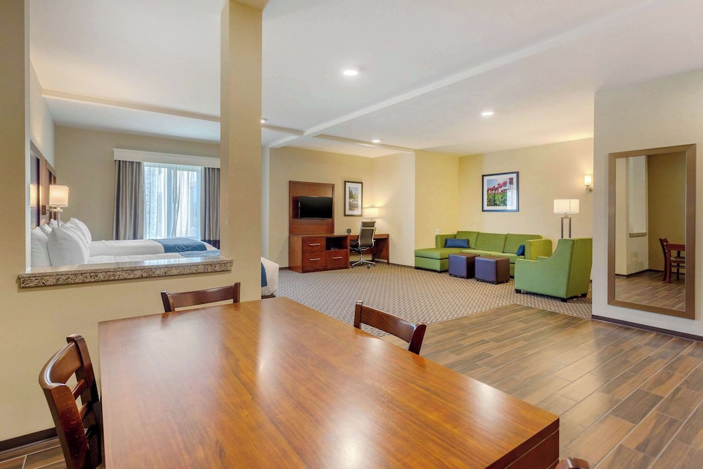 Comfort Suites Burlington near I 5 - photo 7