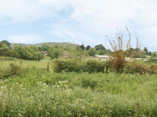 Little Willow — Alfreton — photo 5