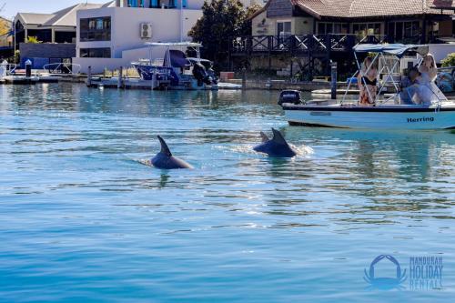 Dolphin Retreat In Halls Head — Mandurah