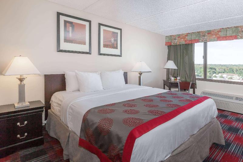 Ramada Plaza by Wyndham Albany - photo 19