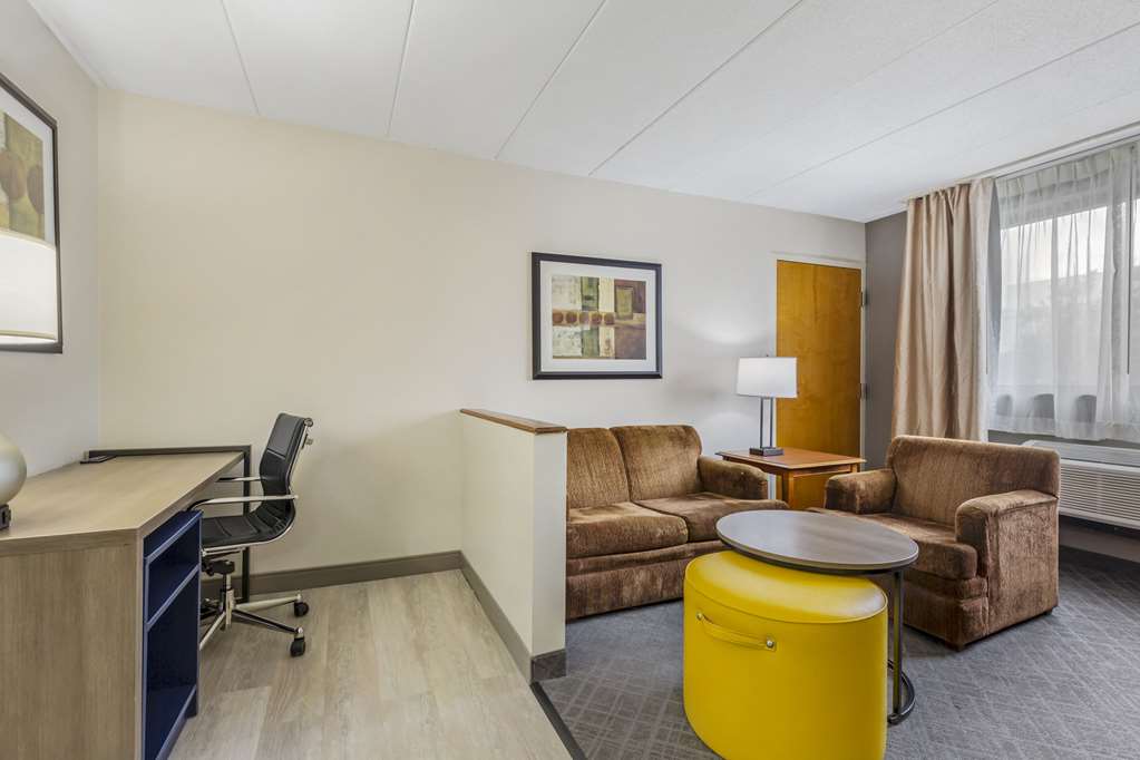 Comfort Inn Herndon Reston - photo 16