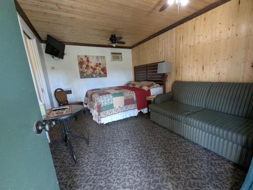 Squaw Valley Motel Room 2 - photo 3