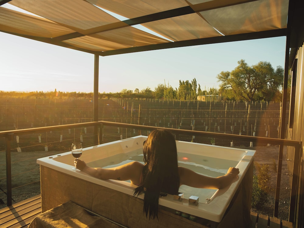 Bodega Iaccarini Wine Lodge by BT Homes — 5-Star Luxury Hotel in San Rafael, Argentina