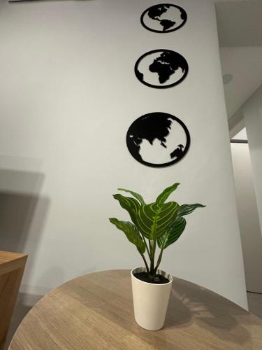 Bosques Modern Apartment — Maipu — photo 3