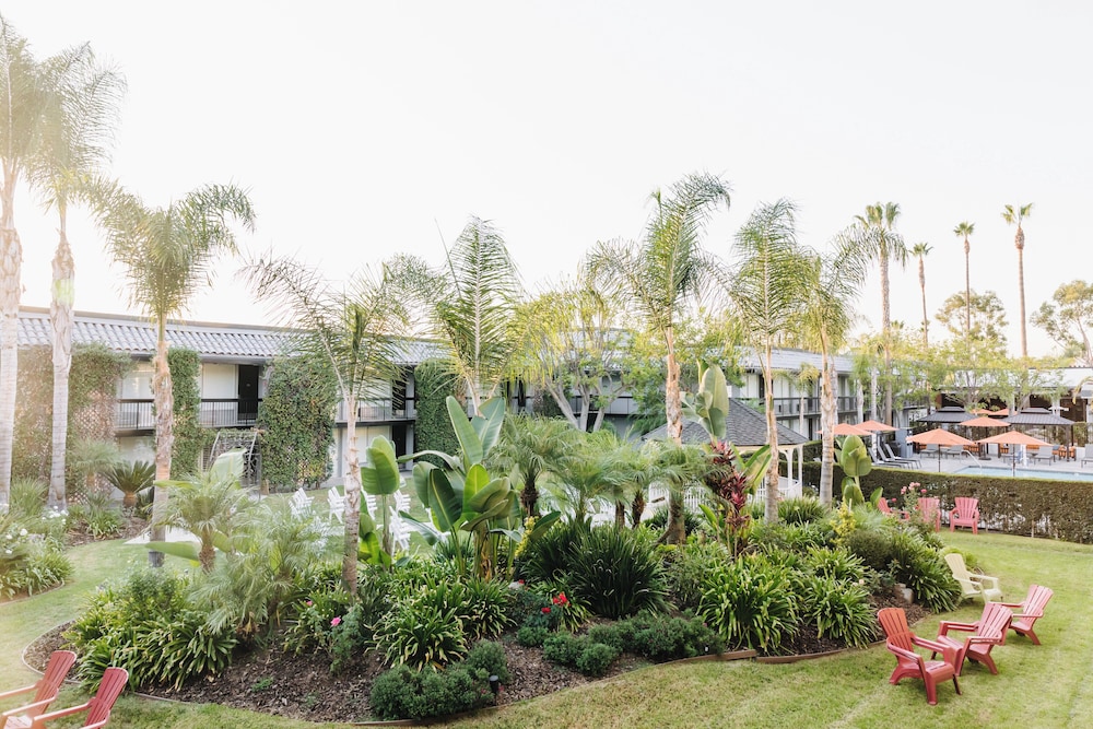 Palm Garden Hotel - photo 32