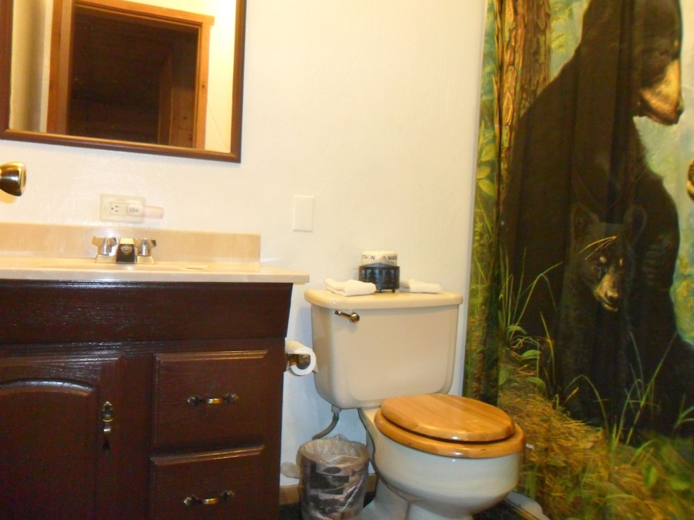 Big Bear Manor Spa Cabins - photo 16