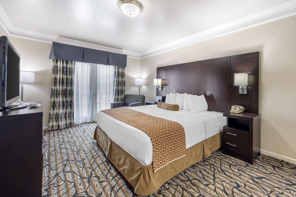 Best Western Spring Hill Inn & Suites - photo 6