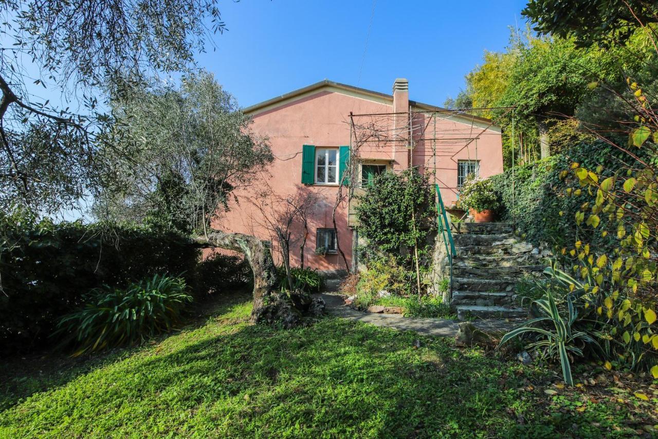 Giardino sul Mare in Camogli, Italy