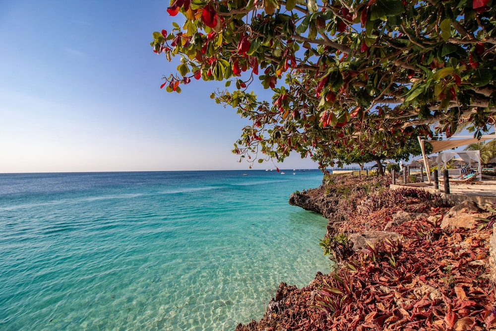 מראה חיצוני