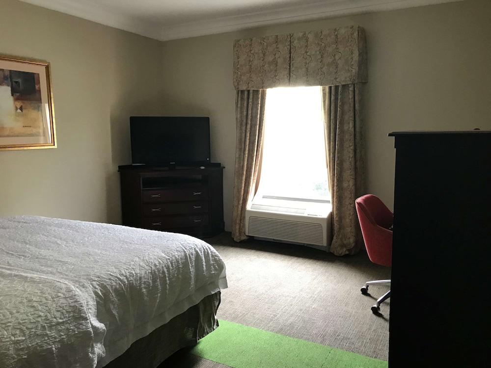 Hampton Inn Vidalia - photo 11