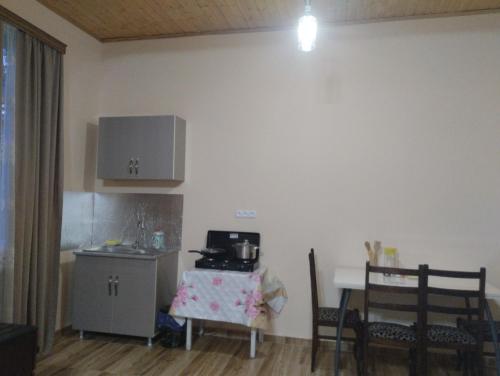 BaBa guesthouse — Mart'vili — photo 5