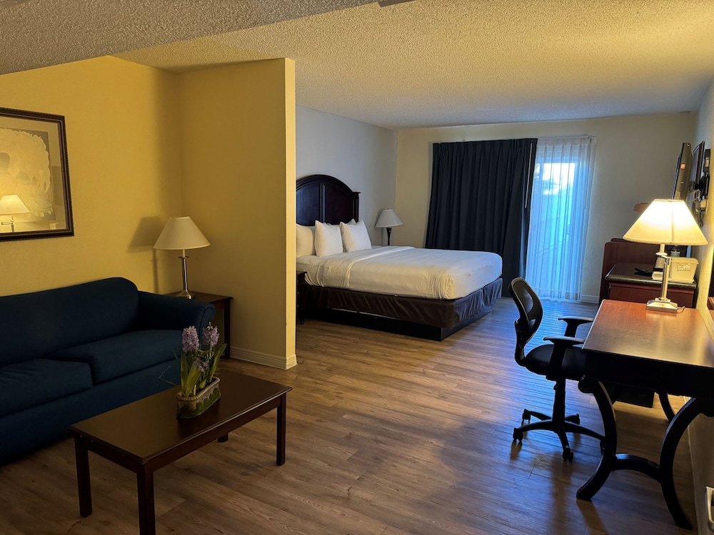 Quality Hotel Americana Nogales - photo 25