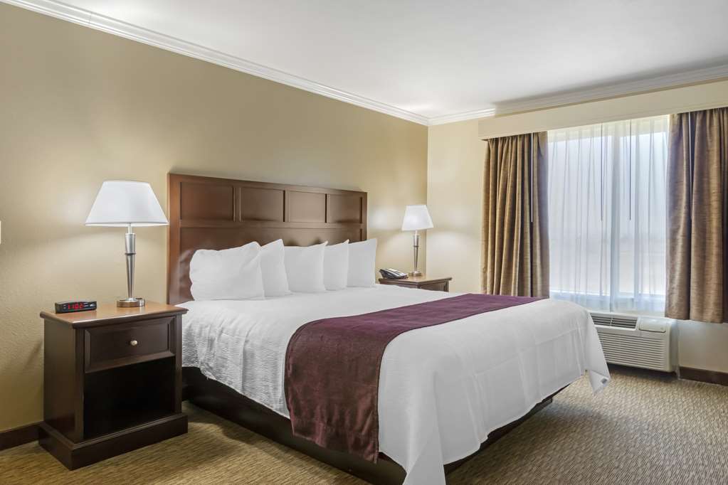 Best Western Plus Grapevine Inn - photo 27