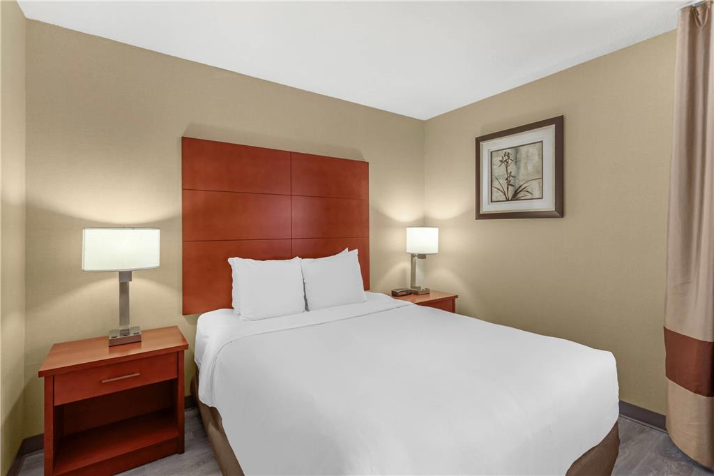 Comfort Inn & Suites Near Fallon Naval Air Station - photo 9