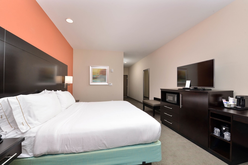 Holiday Inn Express & Suites Austin South by IHG - photo 5